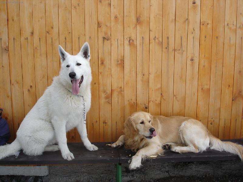 Foto: kámoši-odpočinek po cvičení