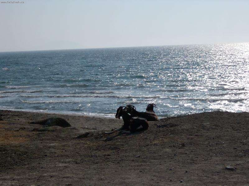 Foto: pláž pro každého..-Kozy na Rhodosu