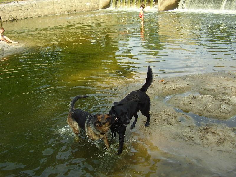 Foto: ,,manželská,,hádka