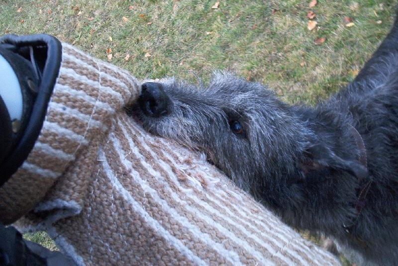 Foto: ANUŠKA-OBRANA