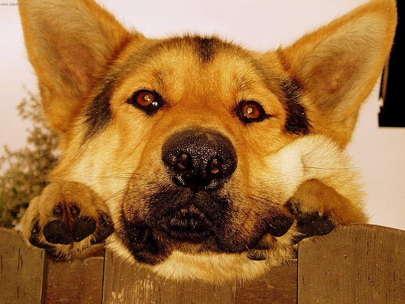 Foto: Prosím, neodcházej!!!!