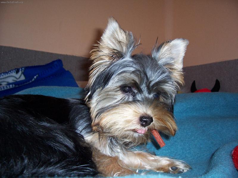 Foto: terezka-dá si někdo semnou:-)