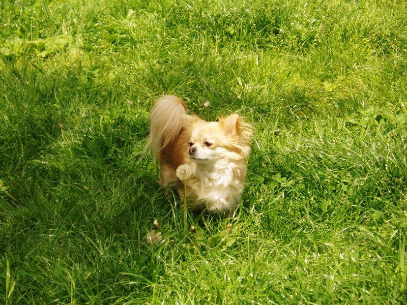 Foto: Zasněná Ariska