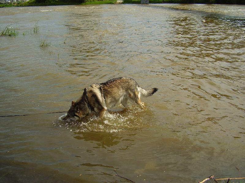Foto: Cira ve Vltavě