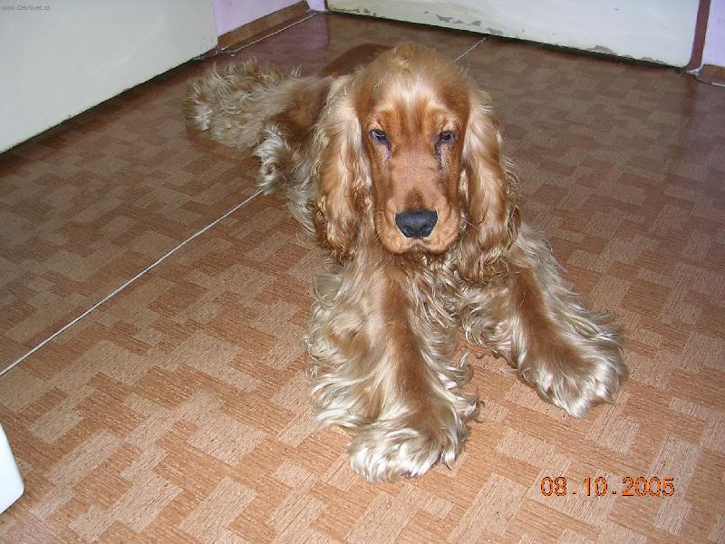 Foto: Dag z Hromnické Bažantice-Není nad to se pořádné protáhnout