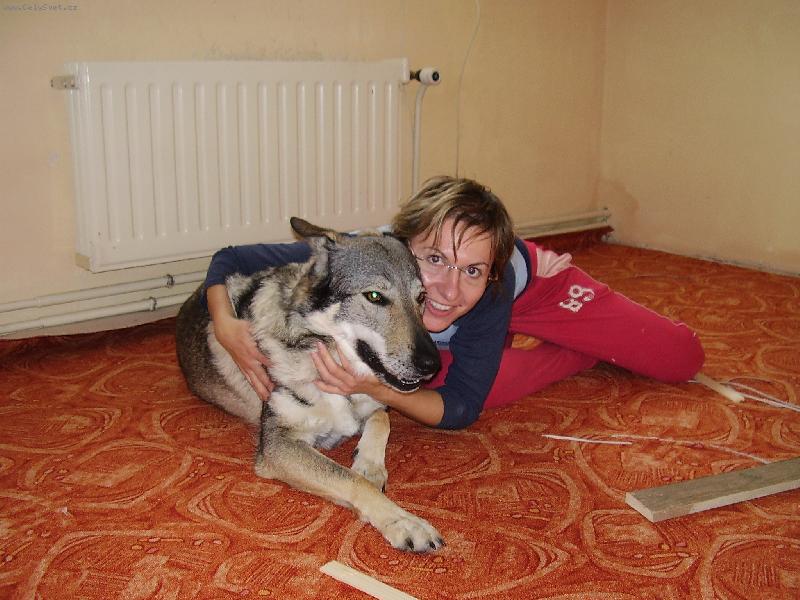 Foto: Pokládání koberce