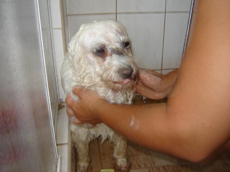 Foto: Denýsek-Byl jsem pinavej,tak se musim umejt.....