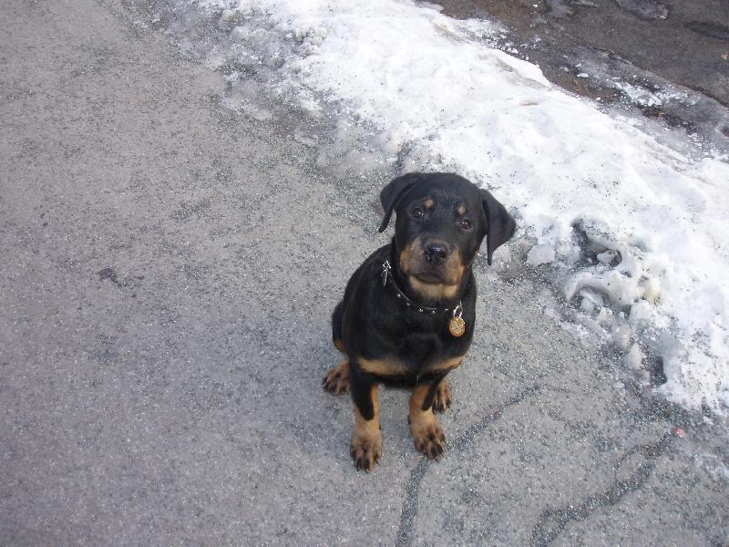 Foto: Jsem ještě miminko