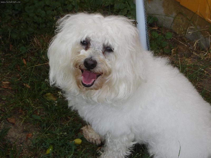 Foto: Denýsek-Úsměv!!!!!!!!!!!