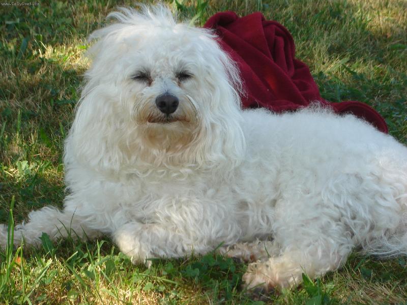 Foto: Denýsek-spinkám,nerušit!!