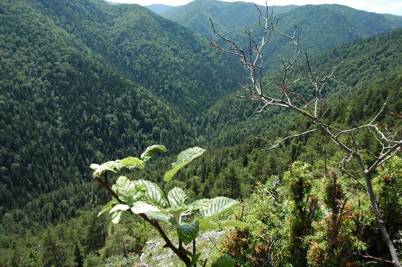 Foto: Slovenský ráj-krásy Slovenského ráje
