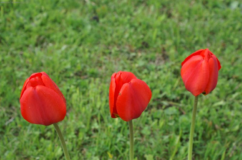 Foto: krásy Melechovské chaloupky:)