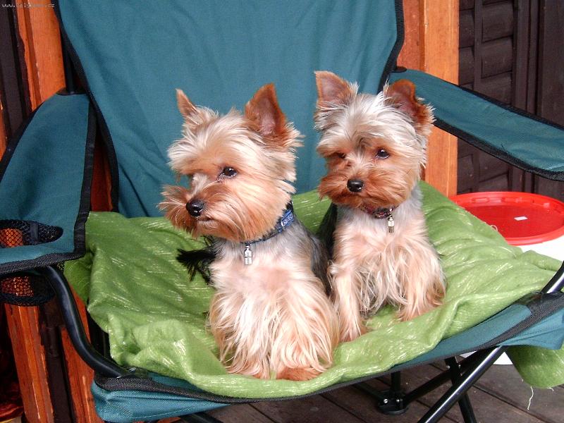 Foto: Jonáš a Melicharová