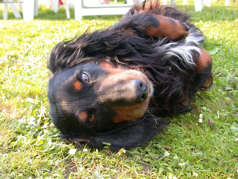Foto: Vidím svět naruby-odpolední odpočinek