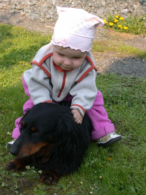 Foto: Osedlaný Portík-Tak jedeme!