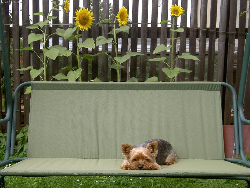 Foto: To je pohodička