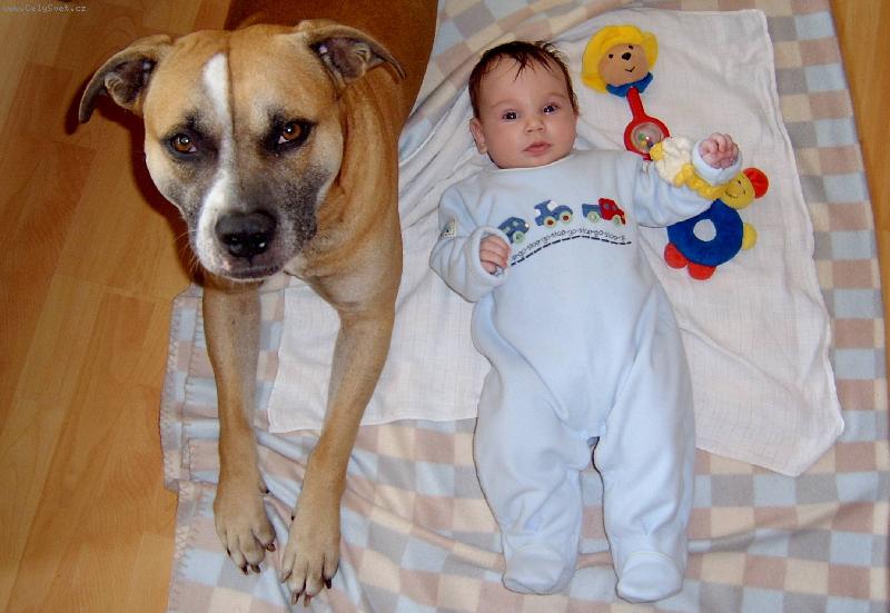 Foto: polední siesta...-Klárka s ochráncem Ariskem