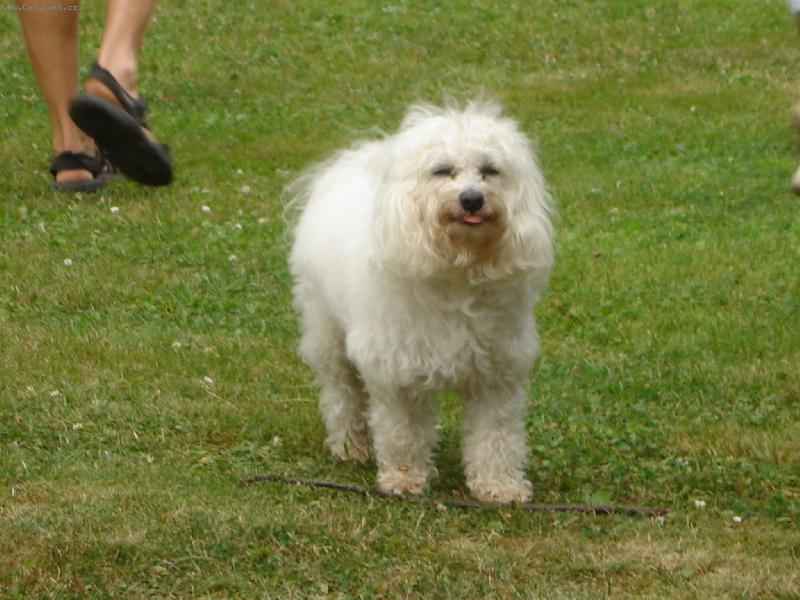 Foto: Denýsek-To je můj jazýček....