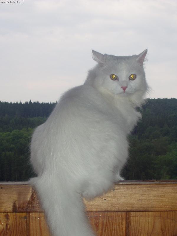 Foto: Adámek-Adámku... kuk!!! ;)