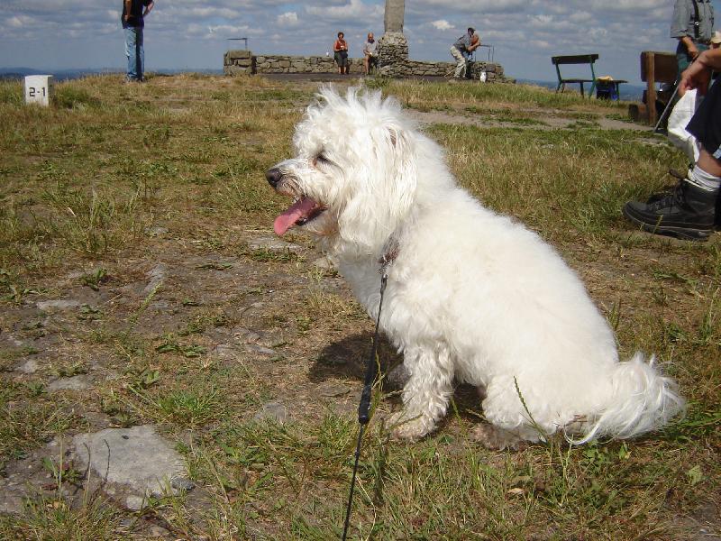 Foto: Denýsek-Totálně znaven...kde je voda???