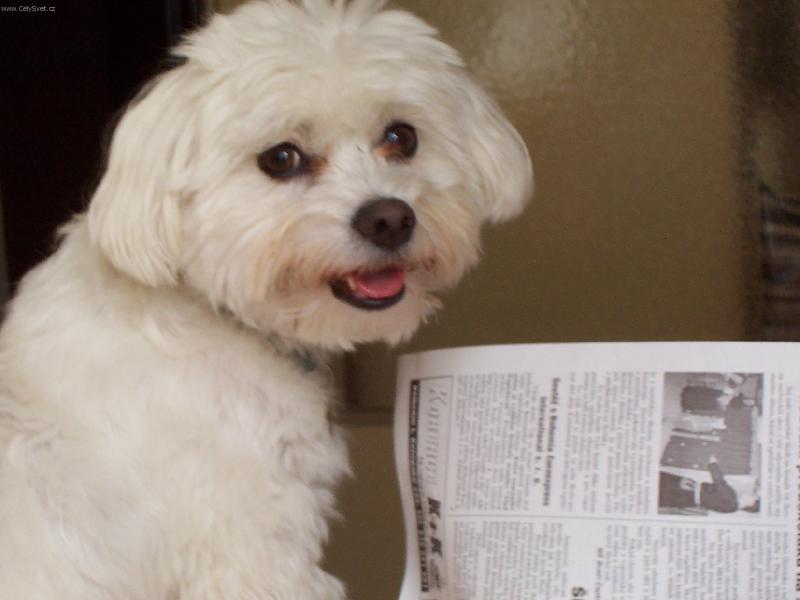 Foto: Max-to je počteníčko