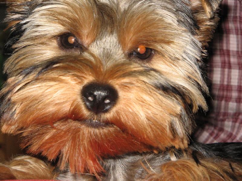 Foto: Sárinka-no, nejsem krásná?