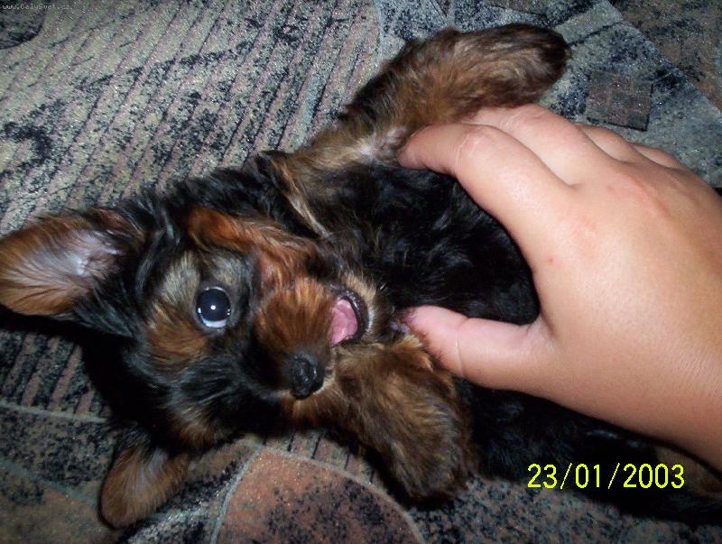 Foto: Matýsek-s paničkou je sranda