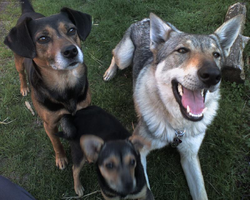 Foto: Ali, Ben a Niky