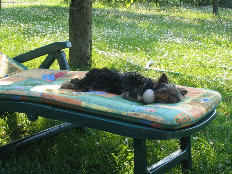 Foto: Unavená Dorinka