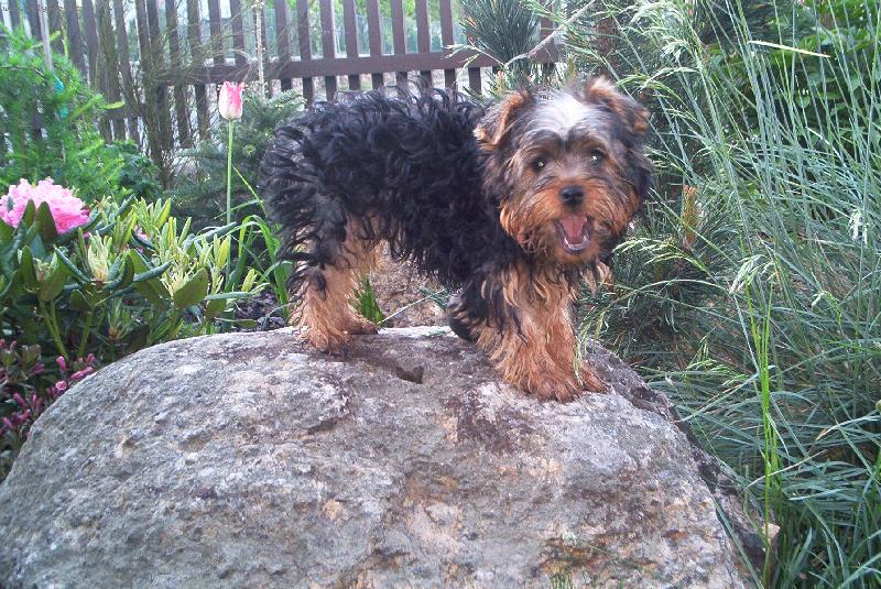 Foto: TO JE MŮJ OBRÁNCE-ENDY