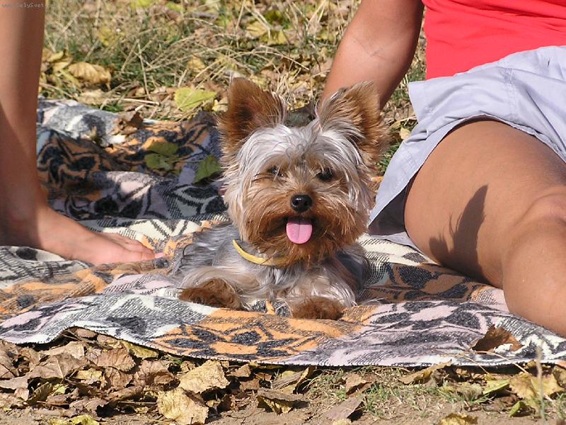Foto: Betinka Růžičková