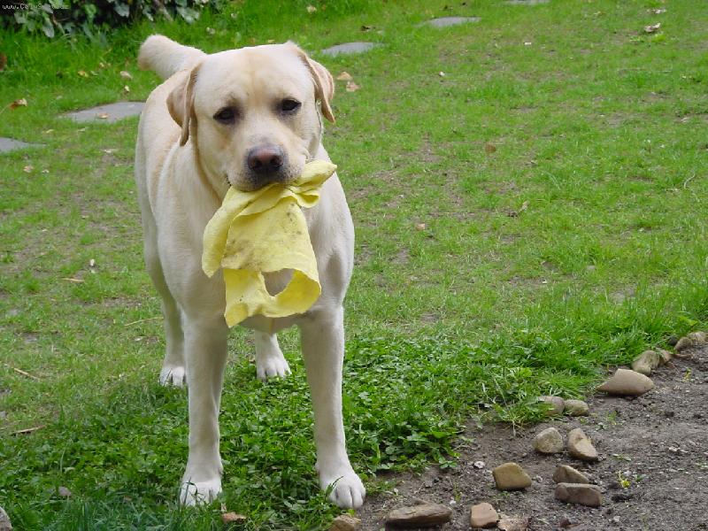 Foto: Uklid-Dnes se neuklízí???