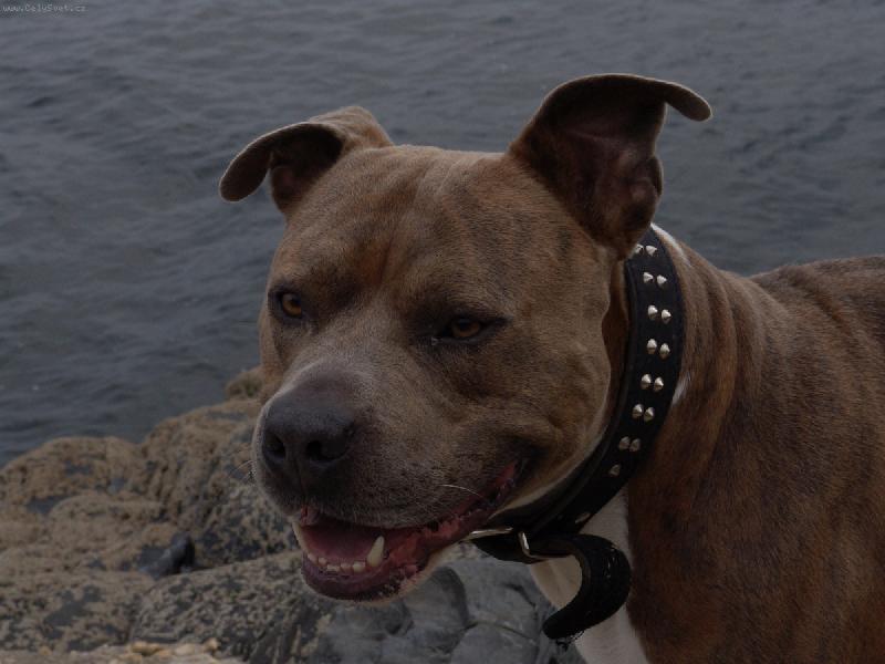 Foto: Bad-na dovolené