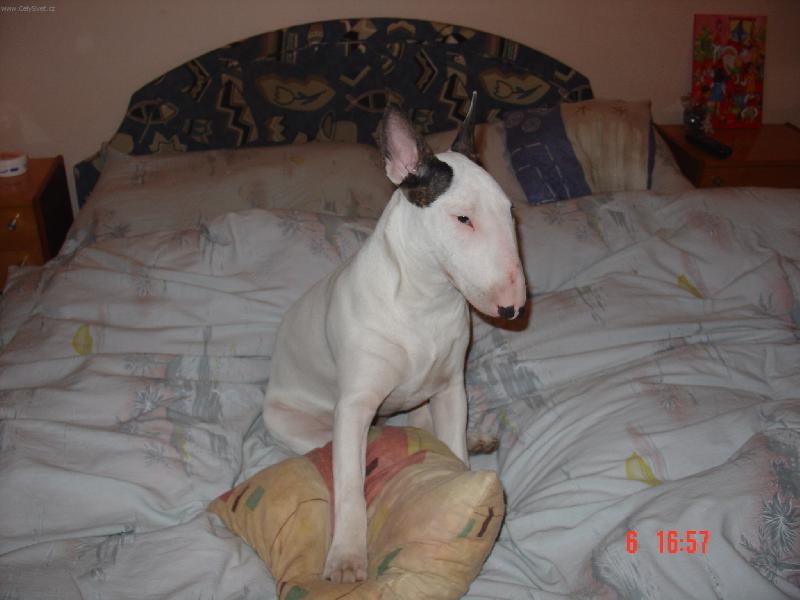 Foto: spánek- budu spinka, nebo si budu hrát s polštářem