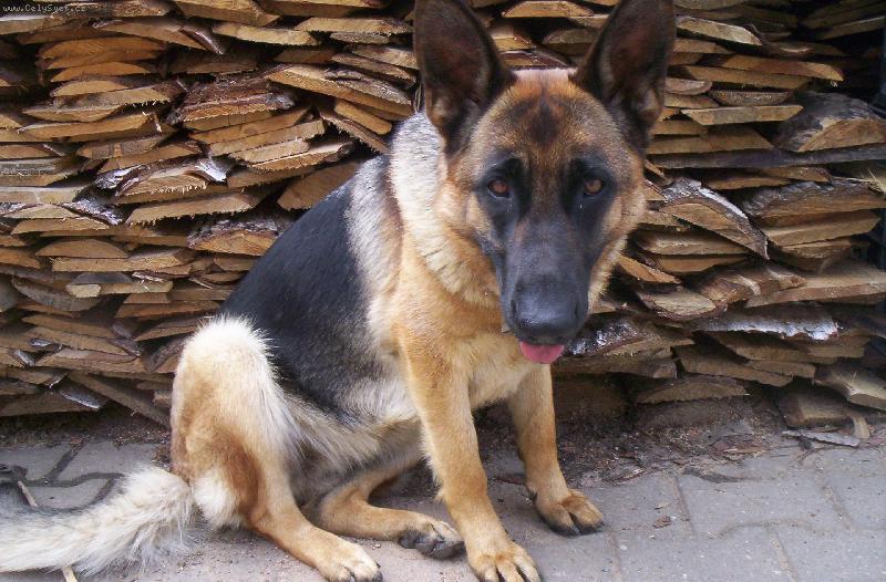 Foto: Co na mě tak čučí?-:)