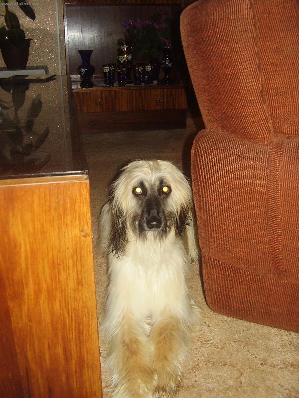 Foto: Kobinka:)-svítím,zářím,...