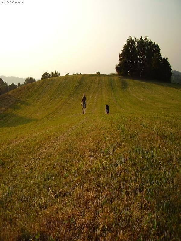 Foto: Louka-Phoda na pěšině:)