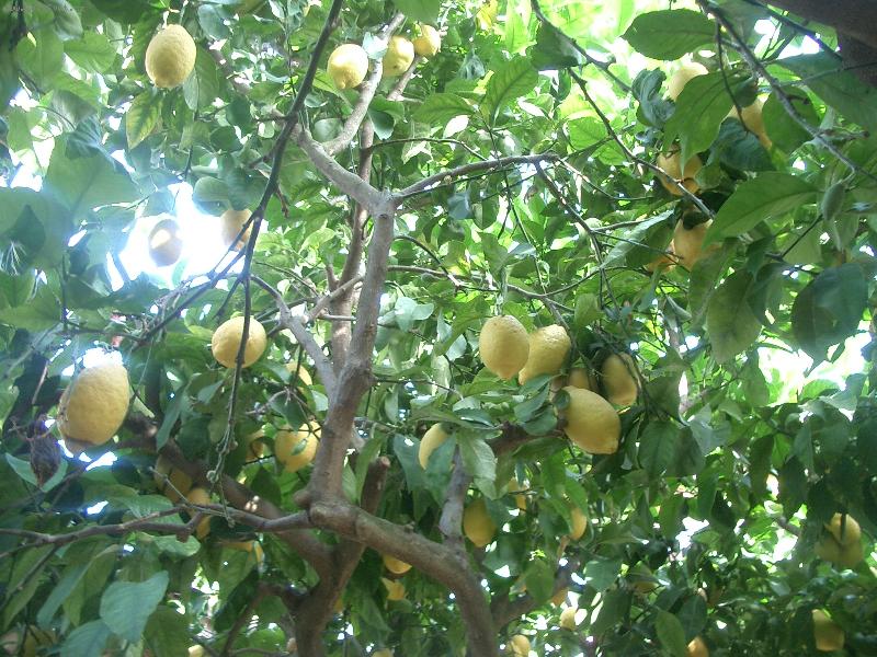 Foto: lutozelen-Řecko