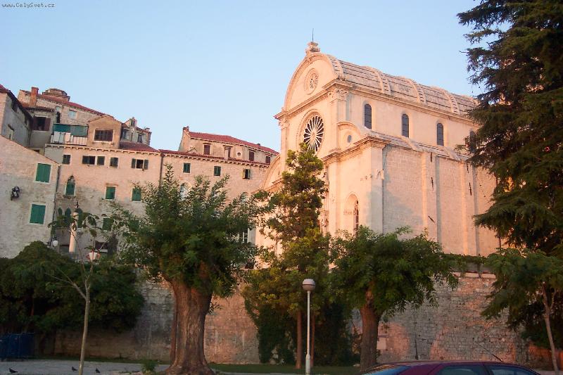 Foto: naše fena Cori-správný relax