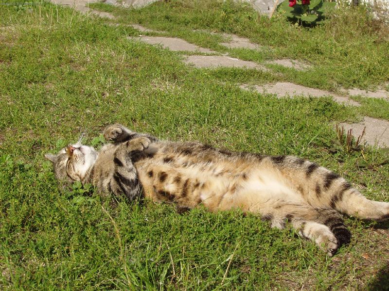 Foto: Odpočinek po očistě-Stařenka (v přepočtu 100 letá)