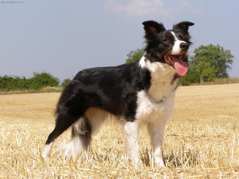 Foto: Tina-Stojím takhle správně paničko????