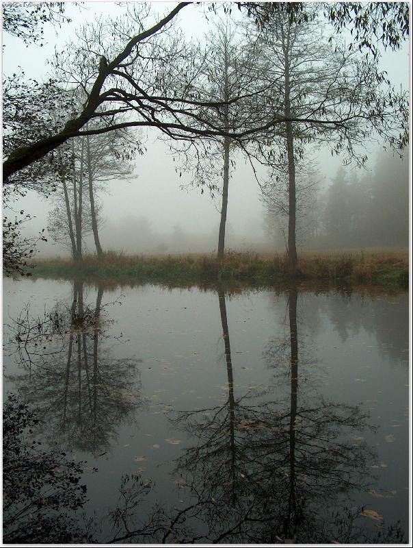 Foto: U řeky Nežárky