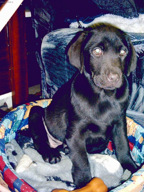 Foto: ještě malá,ale šikovná