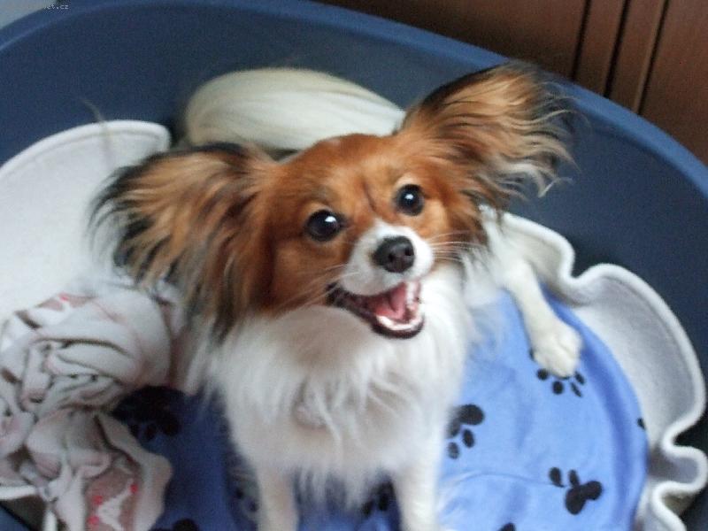 Foto: Anabell-Koketně na Vás mrká:-)