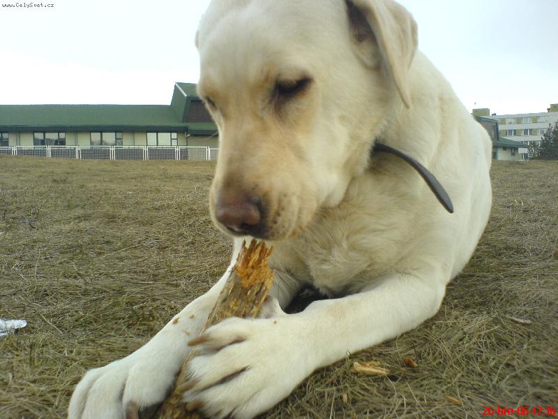 Foto: fenečka Kettynka :o)