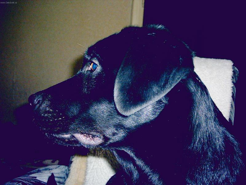 Foto: můj profil v 6 měsících