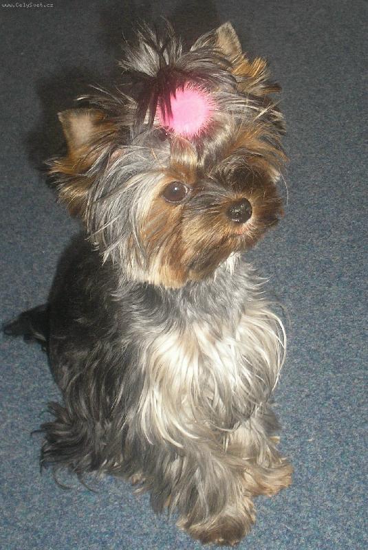 Foto: Kellynka-Jsem malinká,ale poslouchám:-)