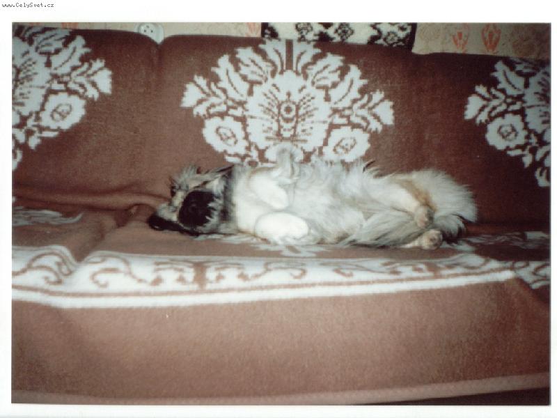 Foto: Nela-Pohldlně jsem si lehla .........