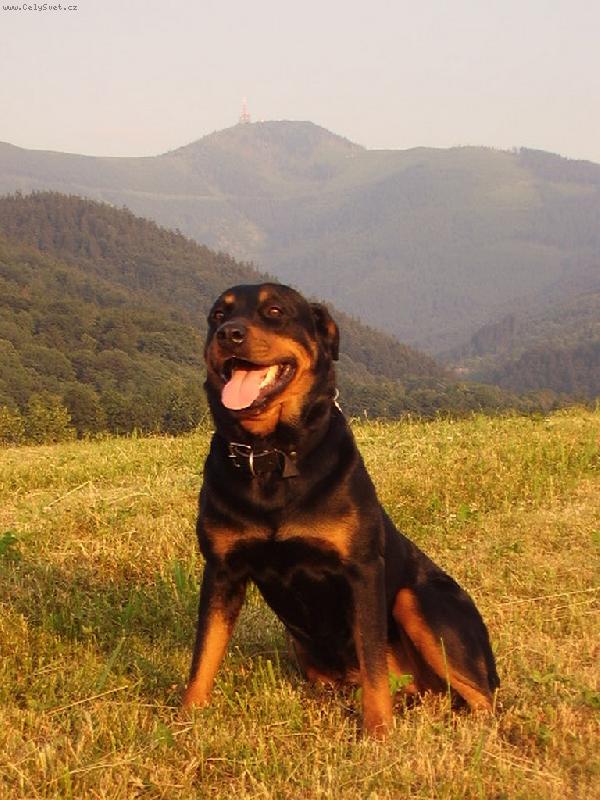 Foto: Verra-miláček