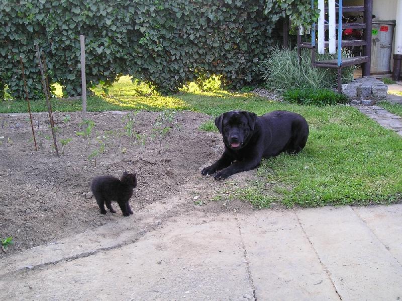 Foto: OBR a Bárt-Nechápu, co proti mně má...